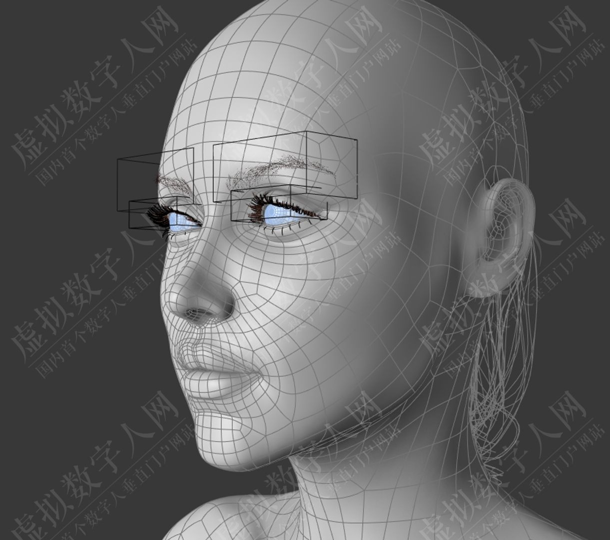 超写实女士3D数字人模型