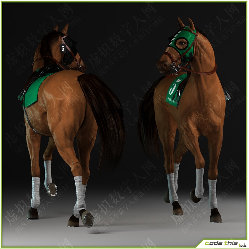 赛马和骑师3D数字人模型
