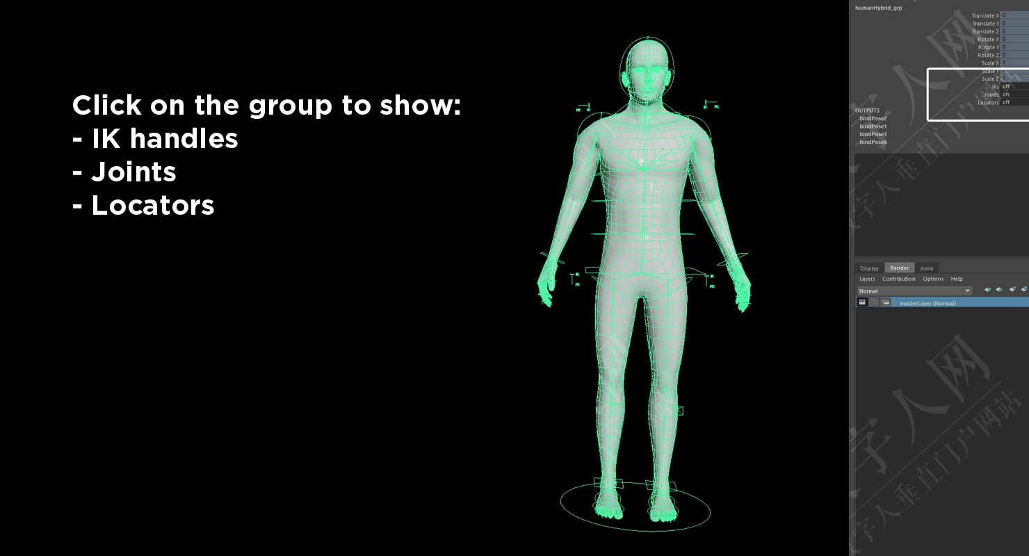 3D数字人模型操纵的人类混合中性模型