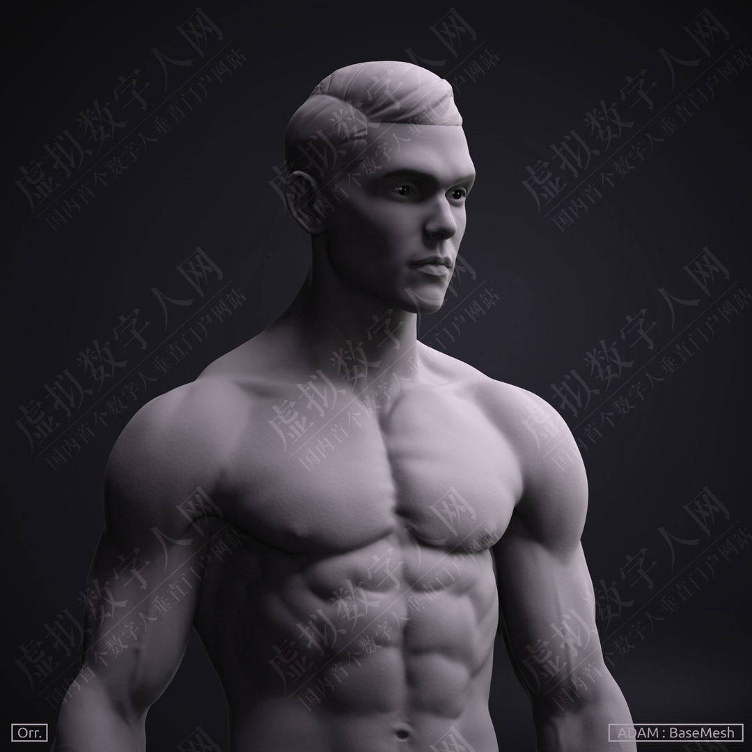 3D数字人模型男性基地-Adam -Ztool 4R8
