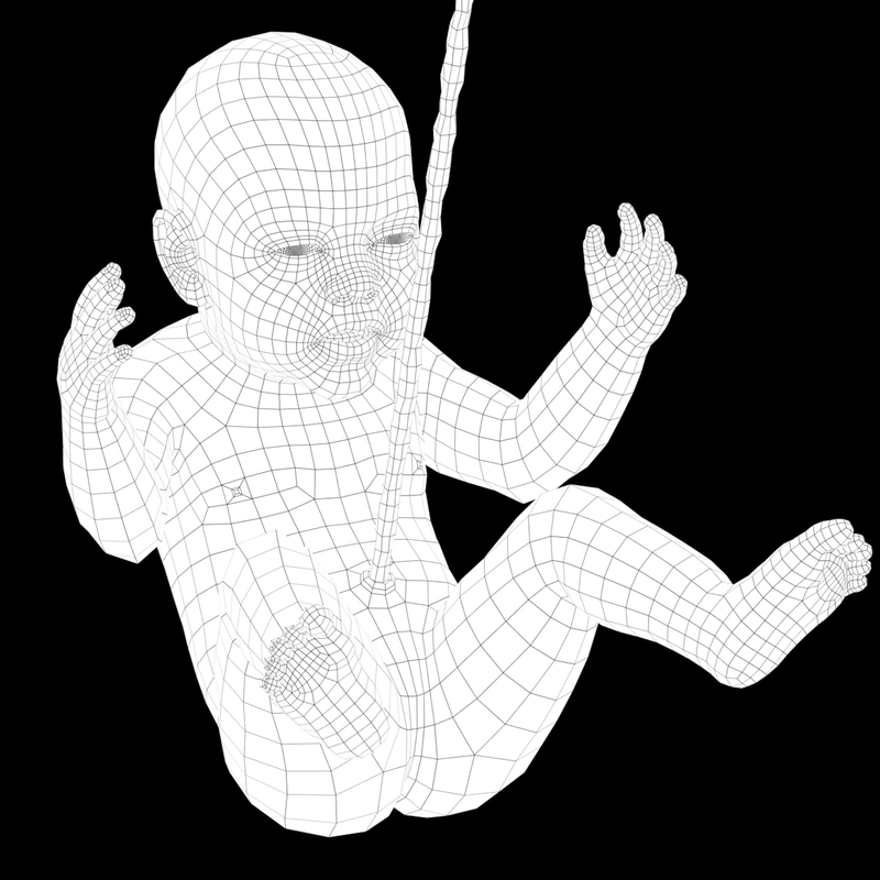 胎儿婴儿3D数字人模型