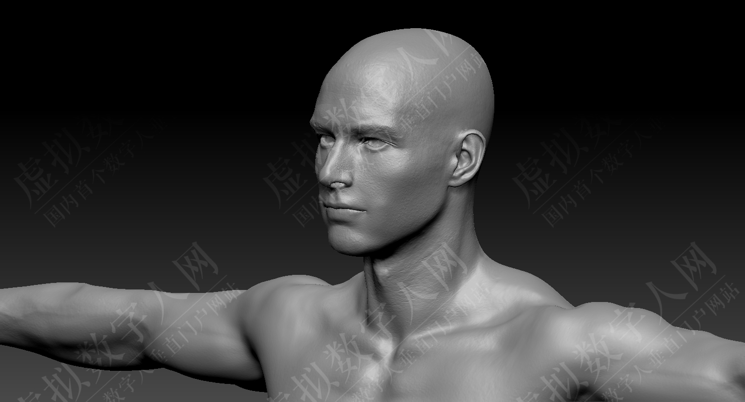 超写实的男性3D数字人模型