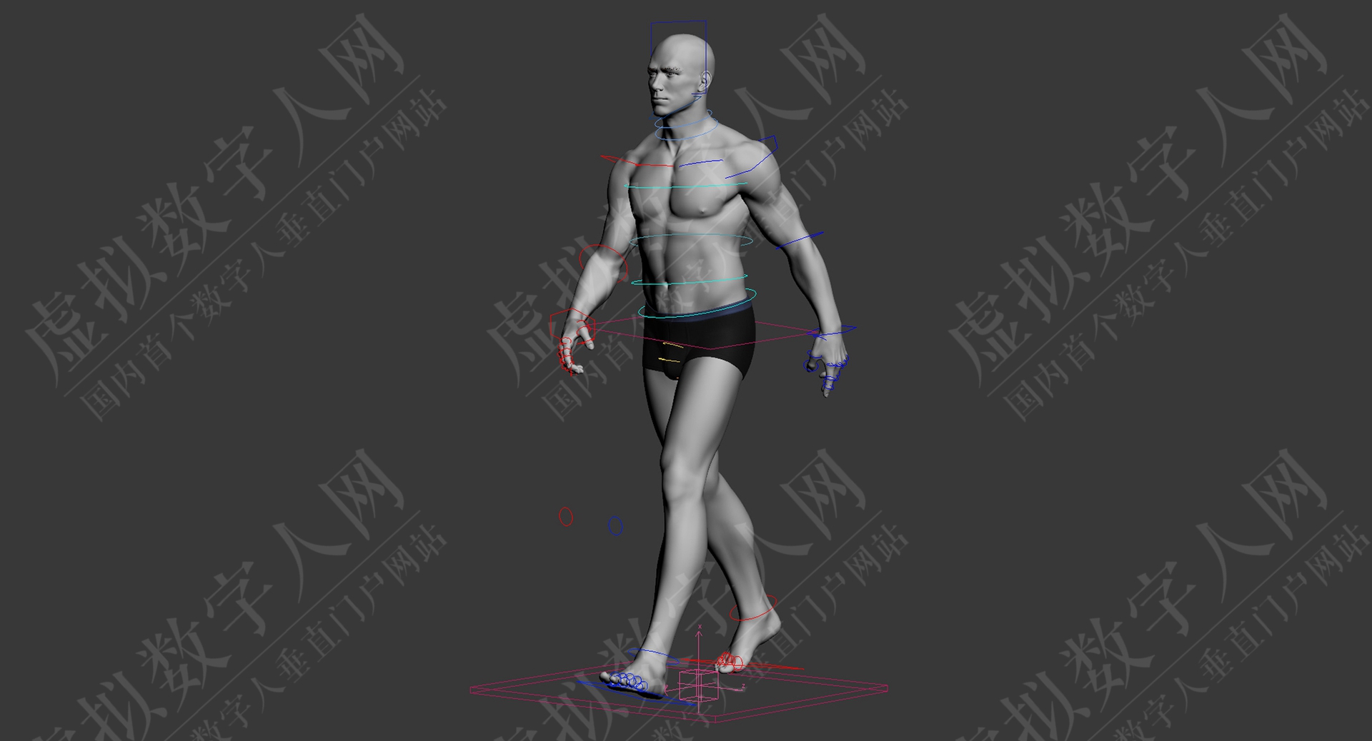 3D数字人模型现实的操纵男子VRay＆Menterray