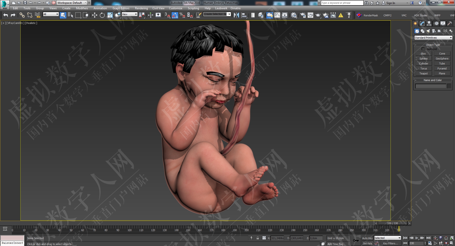 人类胎儿3DMaya动画虚拟数字人模型