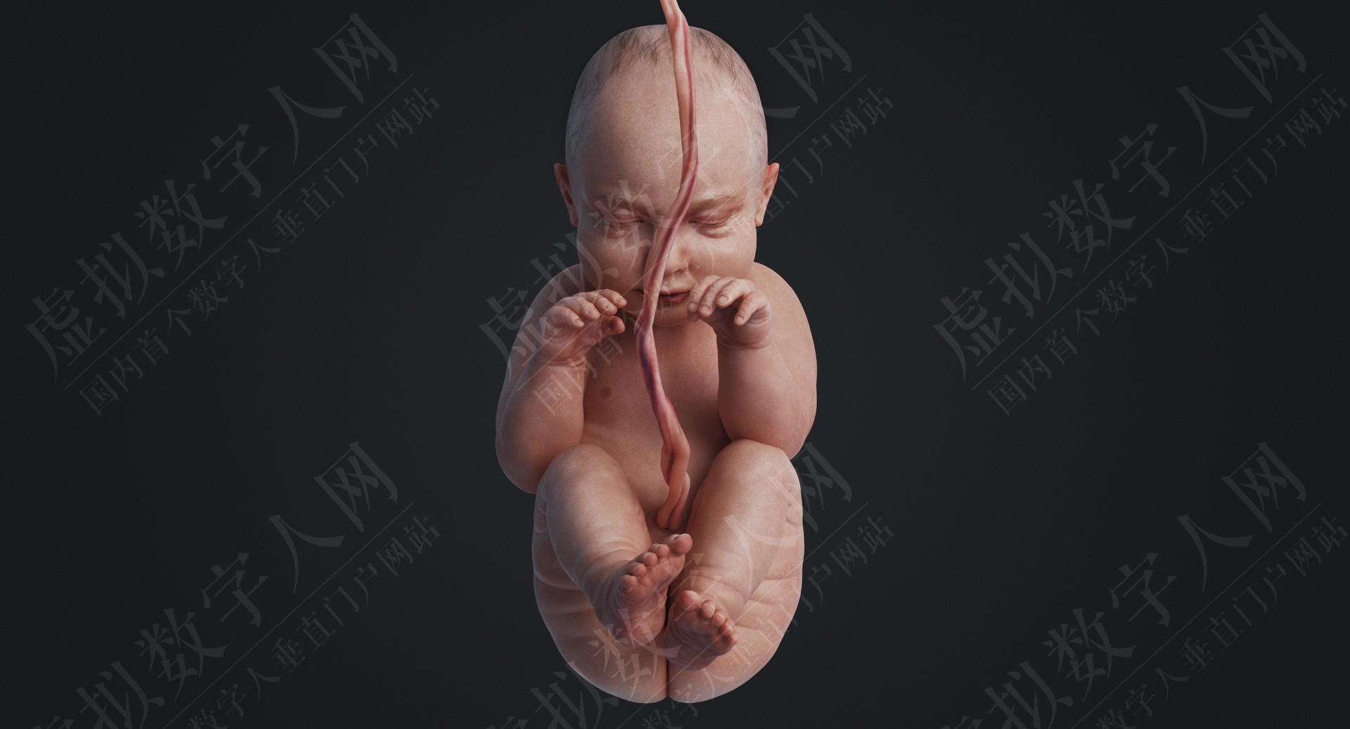 人类胎儿3DMaya动画虚拟数字人模型