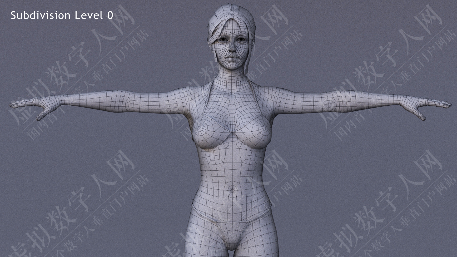 男性女性全身3D数字人模型