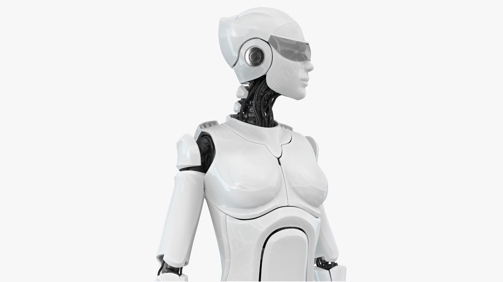 3D女机器人机器人模型