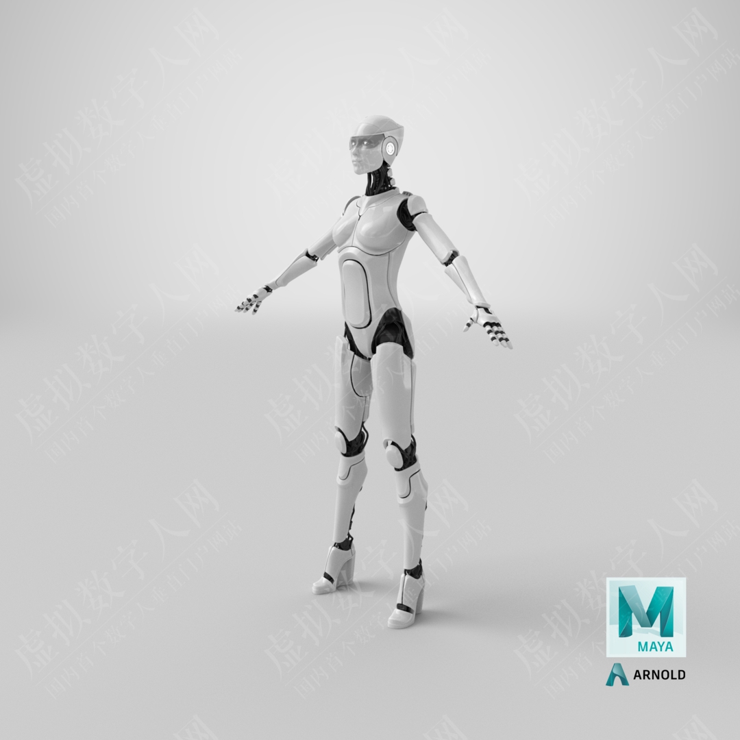 3D女机器人机器人模型