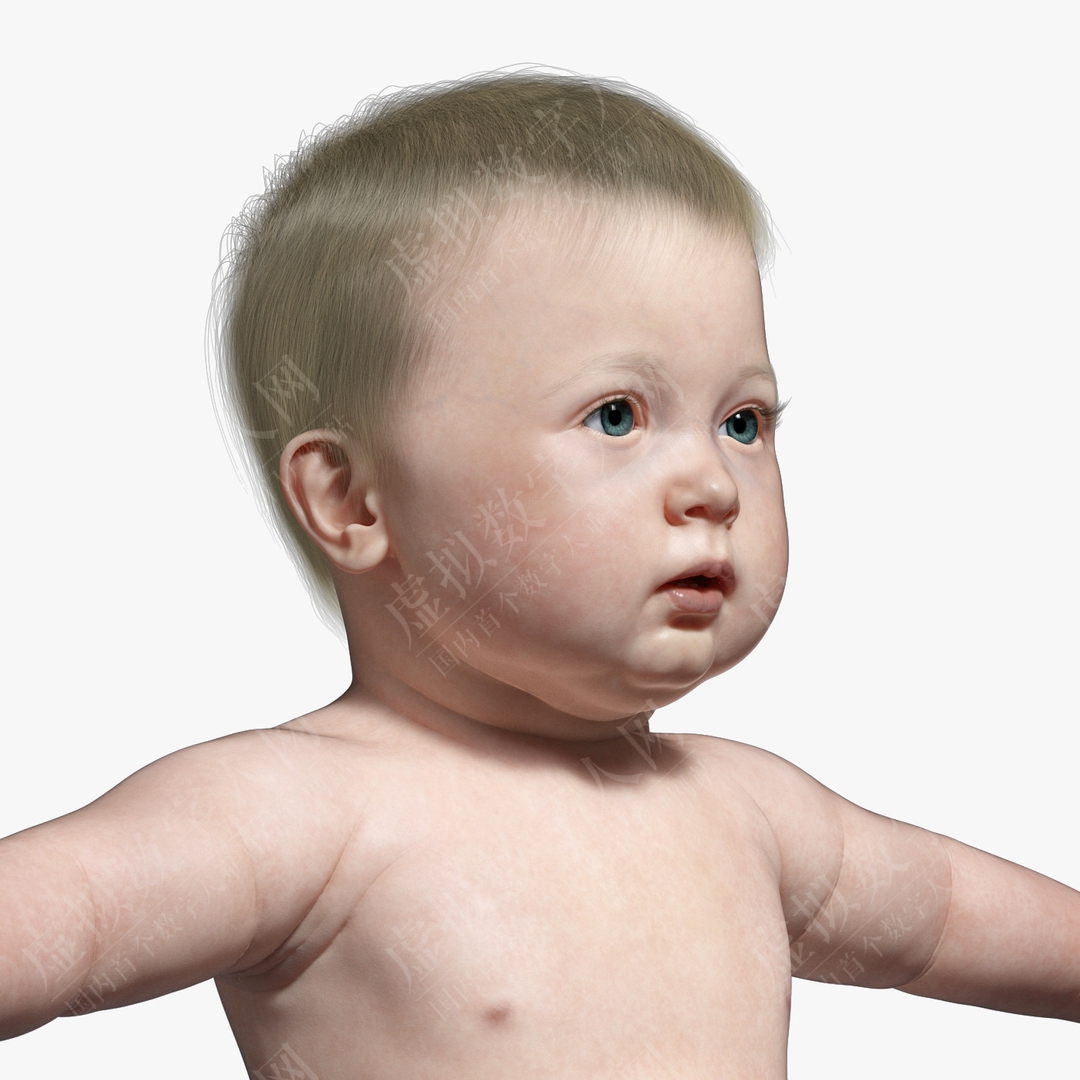 3D虚拟数字人婴儿没有绑定