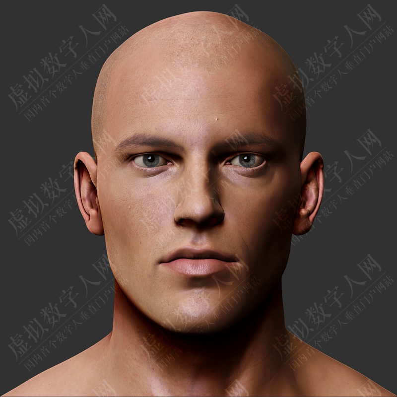 3D数字人模型的男性身体
