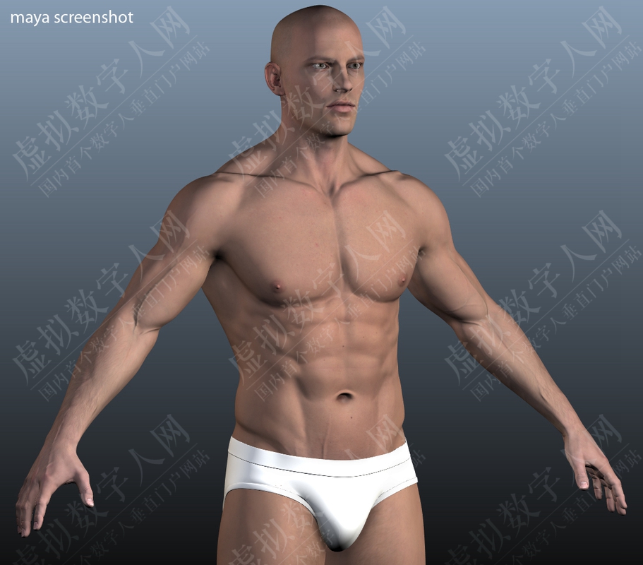 3D数字人模型的男性身体