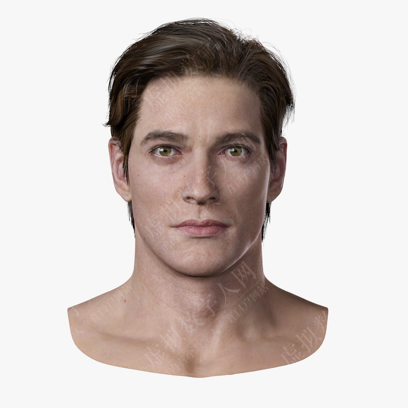 男性头虚拟数字人模型