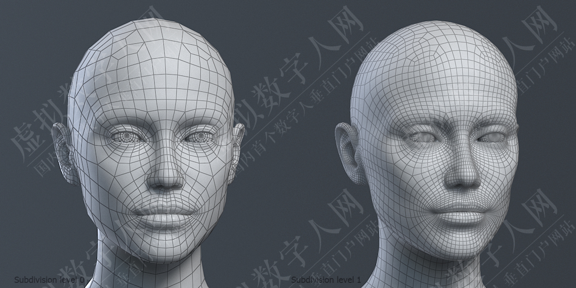 梅尔女性3D Zbrush数字人模型