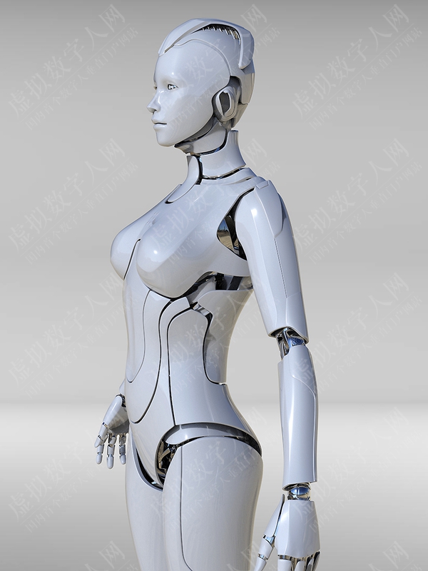 女族机器人模型3D虚拟数字人